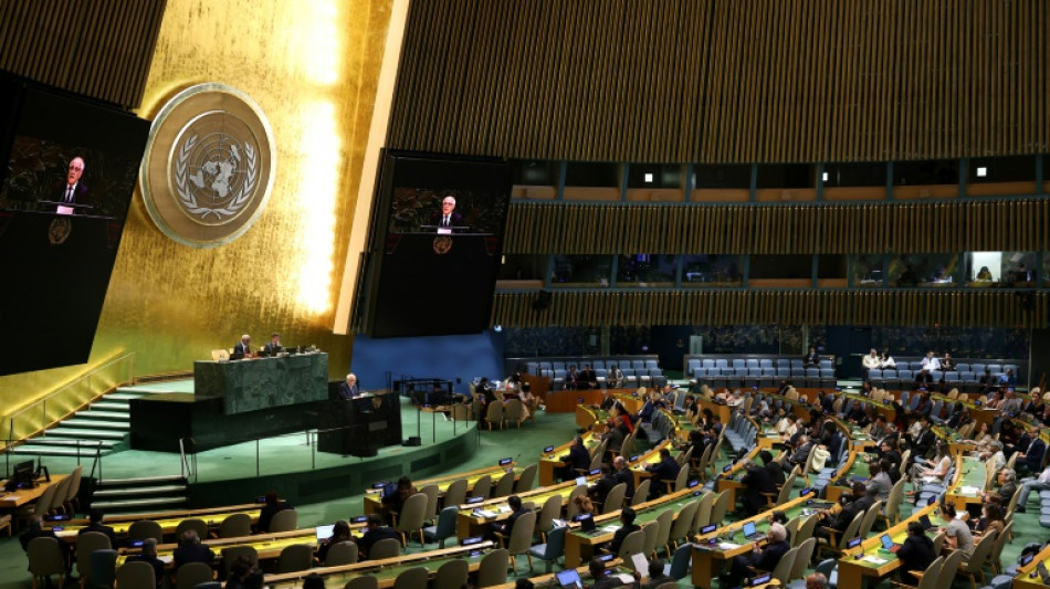 La Asamblea General de la ONU votar&aacute; sobre un Estado palestino sin Ham&aacute;s