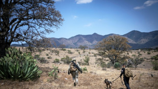 Using AI to help find Mexico's legions of missing children