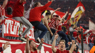 Bayern fans apologise after photographers injured at Real game