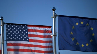 Merz warnt vor Folgen von US-Zöllen und drängt auf Verhandlungslösung