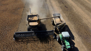 Argentina rebaja los impuestos a las exportaciones de soja y cereales