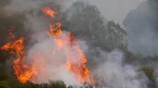 Los incendios en España se cobran la vida de una tercera persona