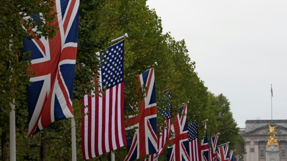 US-Vereinbarung mit London: Pharmaz&ouml;lle bleiben ausgesetzt