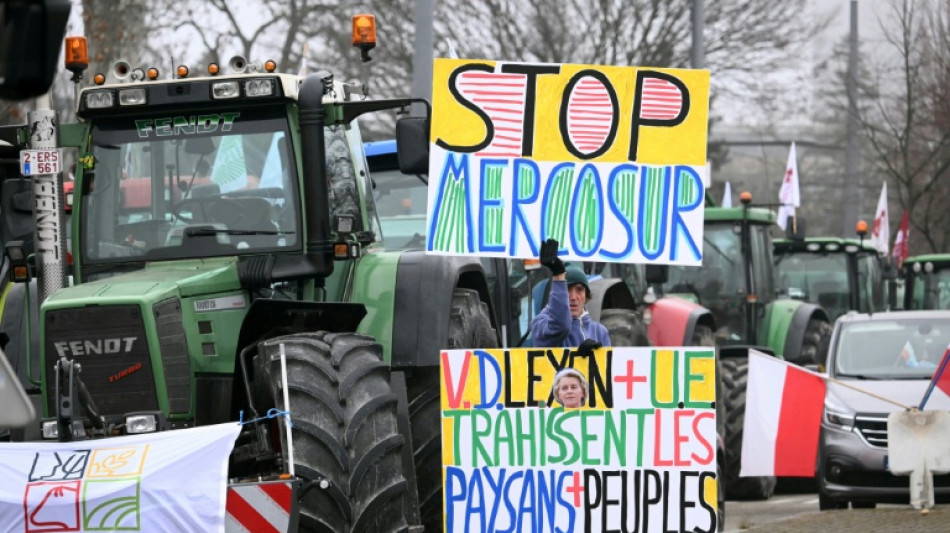Vor Mercosur-Abstimmung im EU-Parlament: Landwirte demonstrieren in Stra&szlig;burg