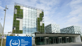 US sanctions on ICC: a 'test of resilience'