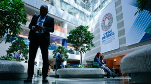 World Bank chief economist warns of hunger risk from war in Iran