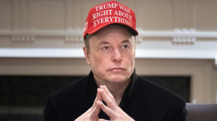 Musk spricht sich für Freihandelszone zwischen Nordamerika und Europa aus
