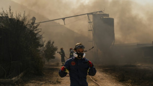 Greece contains new wind-driven fire near Athens 