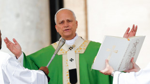 Il Papa, "c'è una scintilla di speranza in Terra Santa"