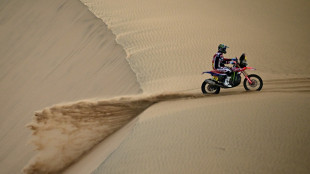 Dakar-2026: la 10e &eacute;tape sourit aux Fran&ccedil;ais