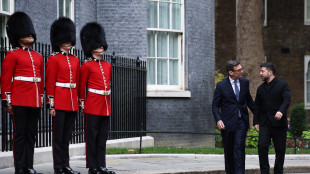 Zelensky, 'siamo pronti a qualsiasi tipo di cessate il fuoco'