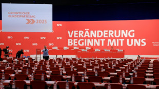SPD will auf Parteitag zum Abschluss über AfD-Verbotsverfahren beraten