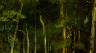 UK museum to surrender Courbet painting stolen by Nazis