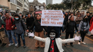 Governo peruano suspende chefe da pol&iacute;cia de Lima ap&oacute;s protestos violentos