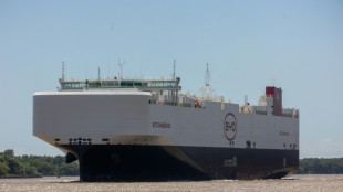 Argentina registra un super&aacute;vit comercial en 2025