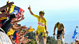 Tour de France: Pogacar gagne dans la premi&egrave;re arriv&eacute;e au sommet