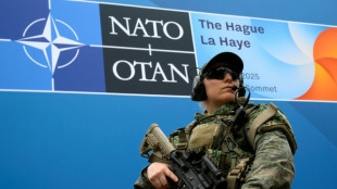 Nato-Partner sollen "historische" Ausgabenziele beschließen