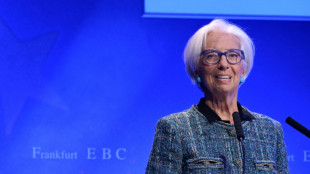 Europe increasingly 'vulnerable' to shocks: ECB chief