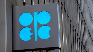La OPEP califica de "fantasía" la salida de los combustibles fósiles