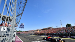 Verstappen delivers Red Bull record win in Hungarian Grand Prix