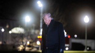 'Usa chiedono a Italia di essere membro fondatore forza sicurezza a Gaza'