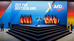 Alternativa para Alemania presenta una demanda contra su clasificación como partido extremista