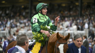 Benvenuto Cellini wins Breeders' Cup Turf