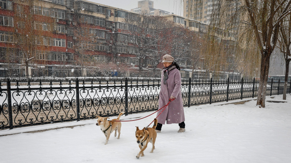 Cnn, presto in Cina ci saranno pi&ugrave; animali domestici che bimbi