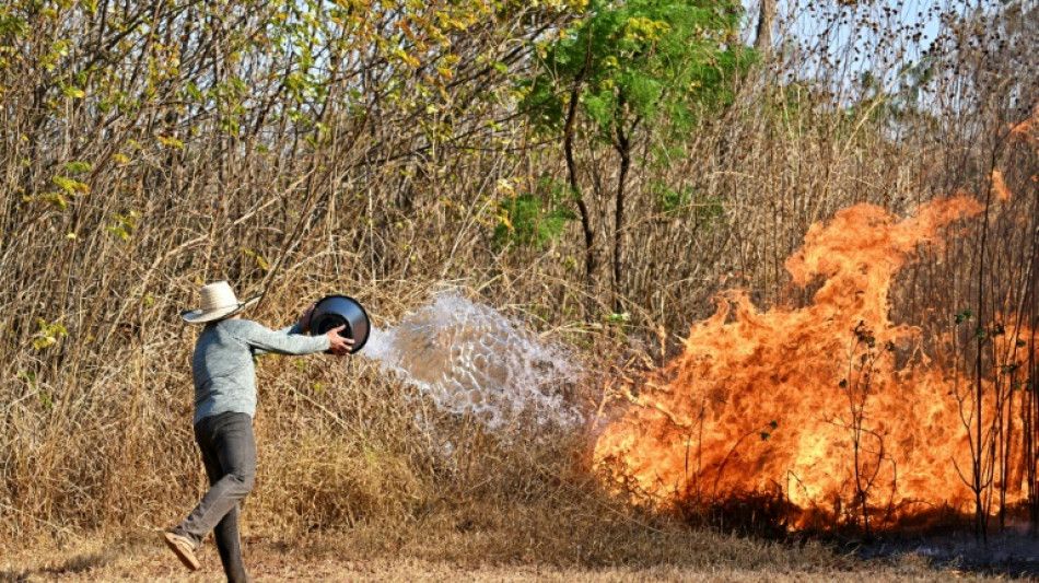 Vague d'incendies au Br&eacute;sil: les flammes touchent d&eacute;sormais le parc national de Brasilia