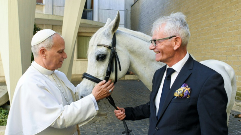 El papa Le&oacute;n XVI recibe como regalo un caballo purasangre &aacute;rabe