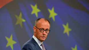 Merz droht Russland mit weiteren Sanktionen und fordert 30-tägige Waffenruhe 