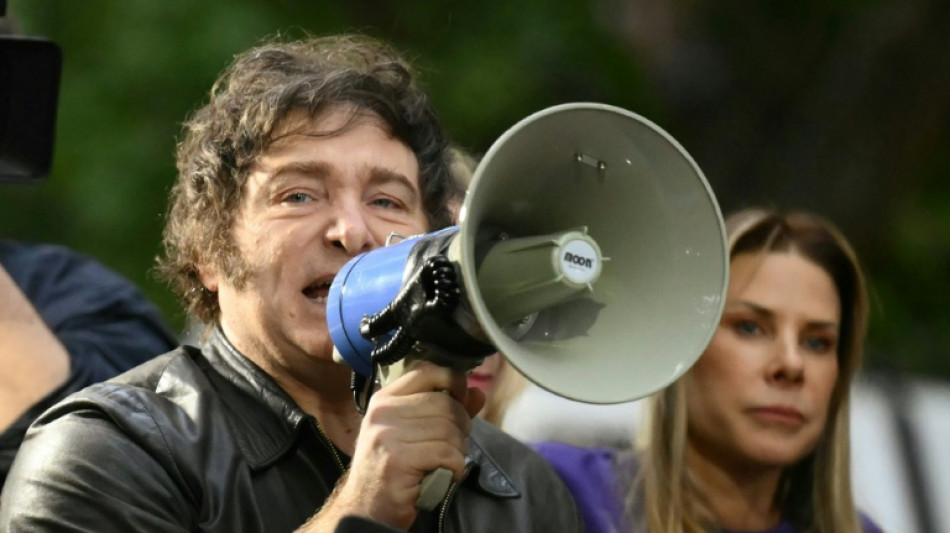 Argentinians vote in midterm elections crucial for Milei