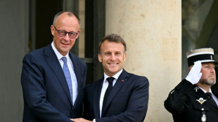 Merz in Paris von Frankreichs Präsident Macron empfangen