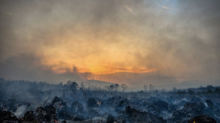 Greenhouse gas levels hit new record highs in 2025: UN