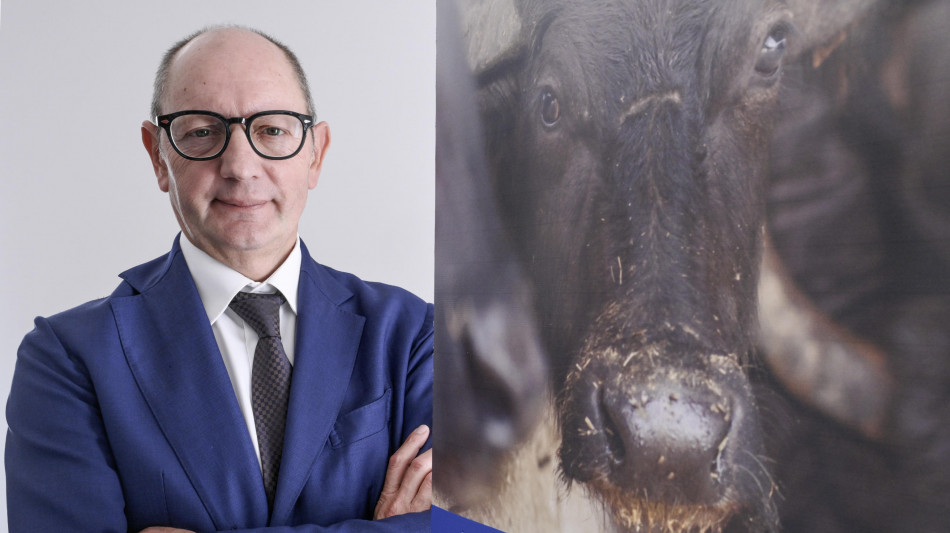 Nomisma-Arcadia, Bufala Dop percepita come 'cibo romantico'