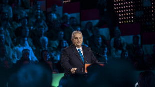 Orban, 'spazzeremo via le pseudo organizzazioni civili e giornalisti'