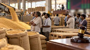 India trims weekly wheat auction volume despite strong miller demand