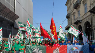 Migliaia di metalmeccanici a Torino, 'vogliamo il contratto'