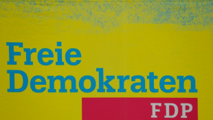 FDP in Rheinland-Pfalz wählt Landeswirtschaftsministerin Schmitt zu Parteichefin
