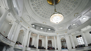 Unas diputadas se pelean a golpes y jalones de pelo en el parlamento de Ciudad de M&eacute;xico