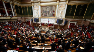 Assembl&eacute;e: nouvelle semaine, nouvelles motions... et nouveau 49.3 ?