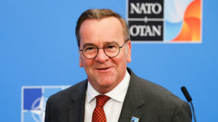 Bundesverteidigungsminister in Dänemark eingetroffen