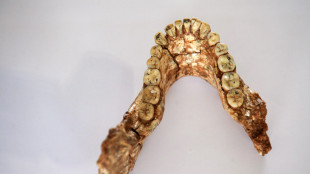 Trovati i resti dei pi&ugrave; vicini antenati dell'uomo moderno, in Marocco