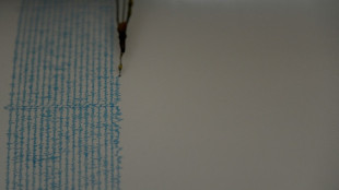 Un sismo de 6,5 sacude el sur de M&eacute;xico sin dejar v&iacute;ctimas ni da&ntilde;os