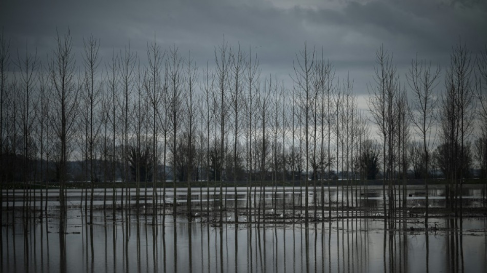 M&eacute;t&eacute;o: quatre d&eacute;partements en vigilance orange pluie-inondation