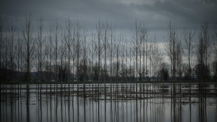 M&eacute;t&eacute;o: quatre d&eacute;partements en vigilance orange pluie-inondation