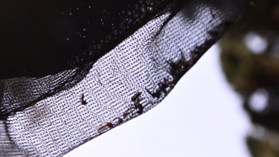 Febbre del Nilo, un decesso e un nuovo caso in Sardegna