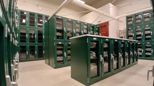 L'Universit&agrave; di Pisa ha digitalizzato 357.000 campioni dell'erbario