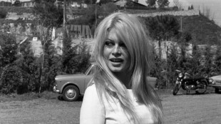 All'asta a Parigi gli effetti personali di Brigitte Bardot, c'&egrave; anche la sua Olivetti