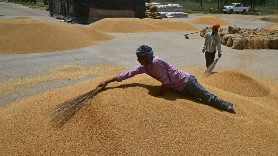 La economía mundial crecerá un 2,8%, lastrada por los aranceles de Trump, prevé el FMI